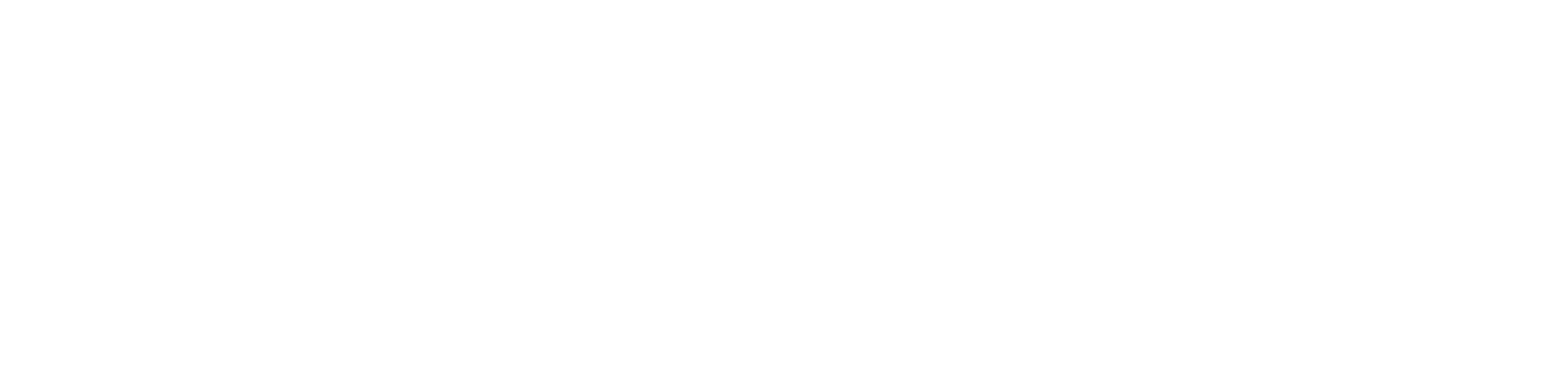 Cíntia Mion